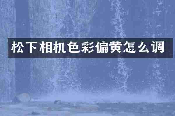 相机色彩偏黄怎么调