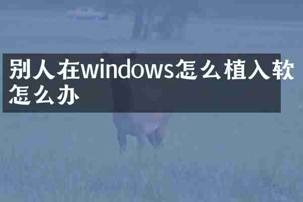 别人在windows怎么植入软件怎么办