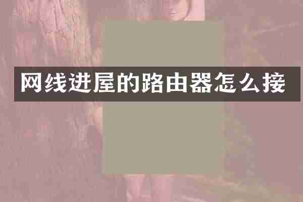 网线进屋的路由器怎么接
