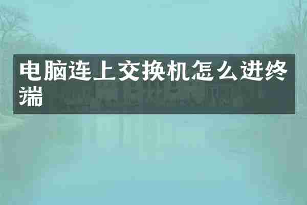 电脑连上交换机怎么进终端