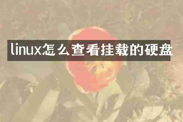 linux怎么查看挂载的硬盘