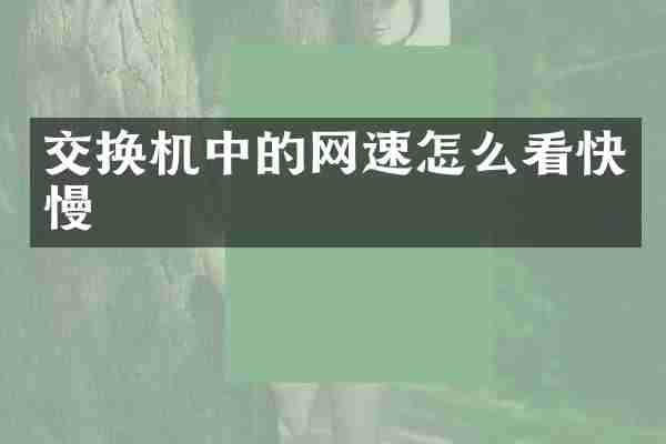 交换机中的网速怎么看快慢