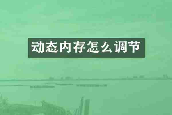动态内存怎么调节