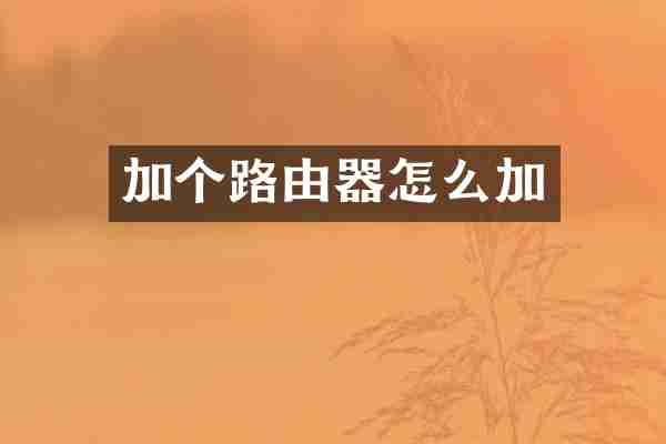 加个路由器怎么加