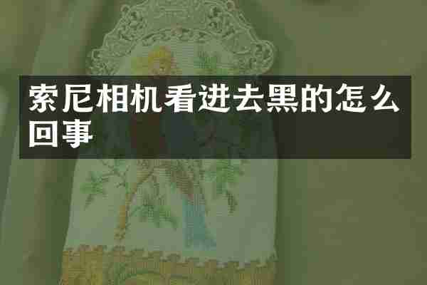索尼相机看进去黑的怎么回事