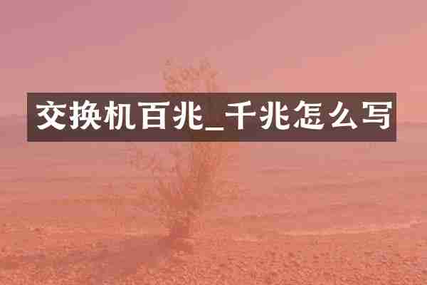 交换机百兆_千兆怎么写