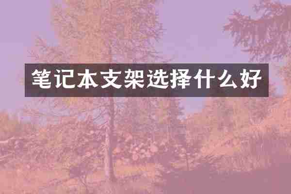 笔记本支架选择什么好