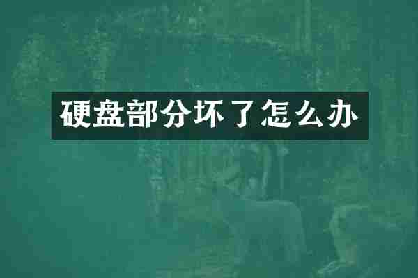 硬盘部分坏了怎么办