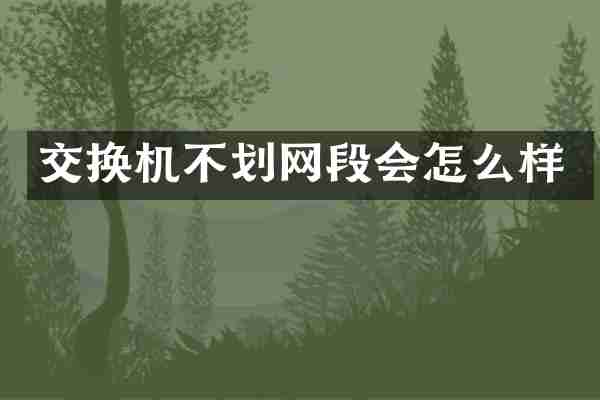 交换机不划网段会怎么样