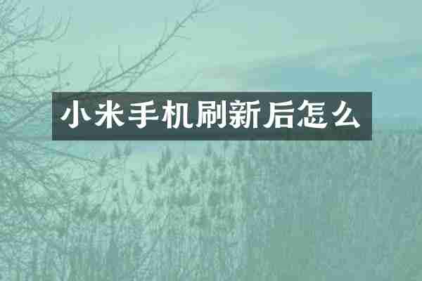 小米手机刷新后怎么
