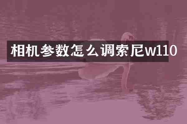 相机参数怎么调索尼w110