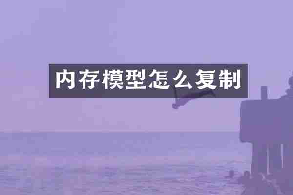 内存模型怎么复制