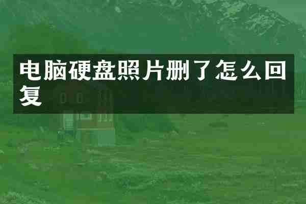 电脑硬盘照片删了怎么回复
