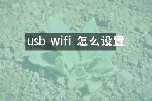 usb wifi 怎么设置