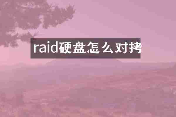 raid硬盘怎么对拷