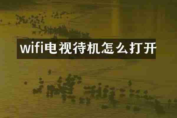 wifi电视待机怎么打开