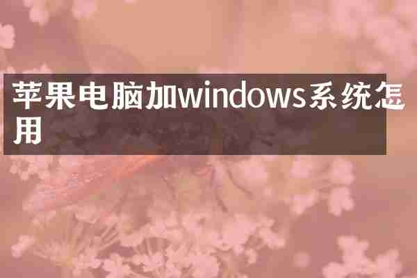 苹果电脑加windows系统怎么用