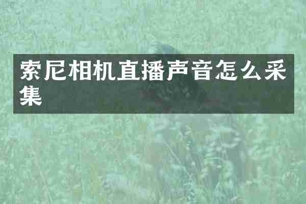 索尼相机直播声音怎么采集