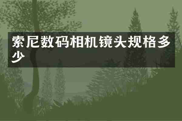 索尼数码相机镜头规格多少
