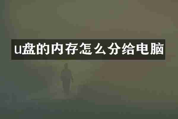 u盘的内存怎么分给电脑