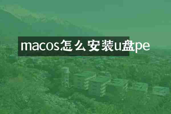 macos怎么安装u盘pe