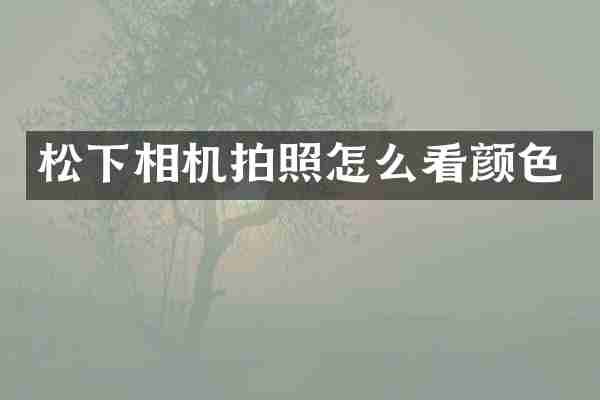 松下相机拍照怎么看颜色
