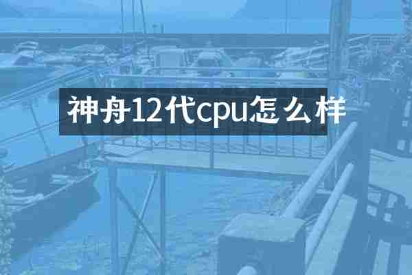 神舟12代cpu怎么样