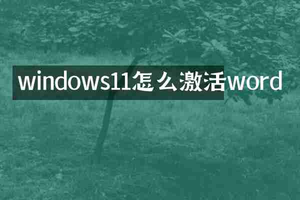 windows11怎么激活word