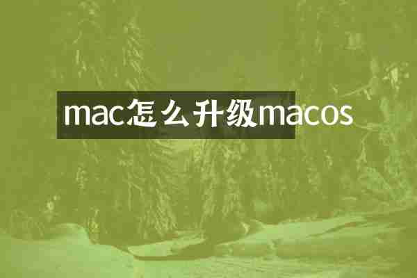 mac怎么升级macos