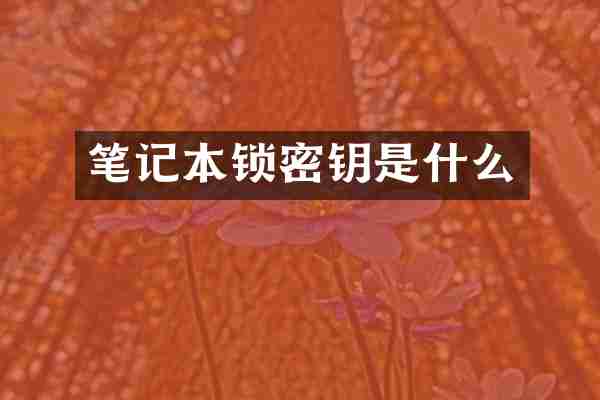 笔记本锁密钥是什么