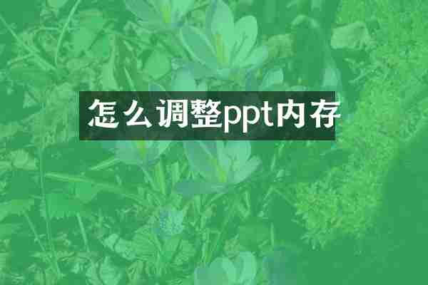怎么调整ppt内存