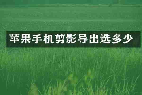 苹果手机剪影导出选多少