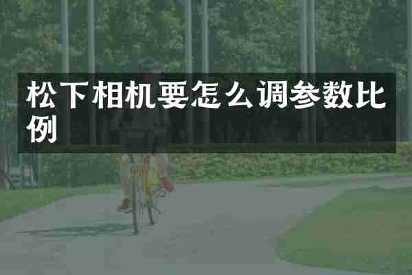 松下相机要怎么调参数比例