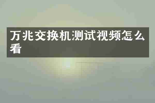 万兆交换机测试视频怎么看