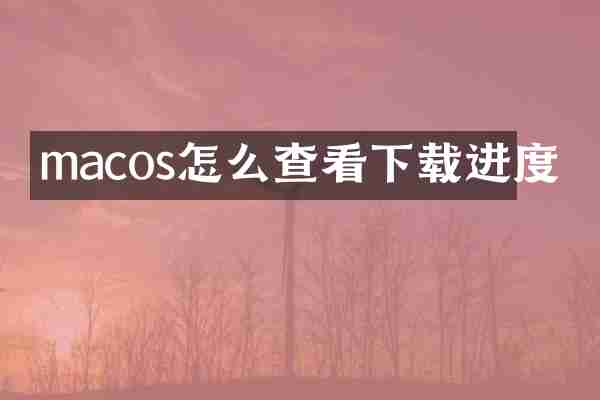 macos怎么查看下载进度