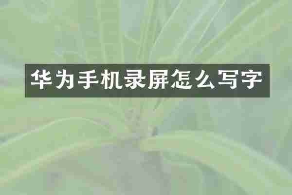 华为手机录屏怎么写字
