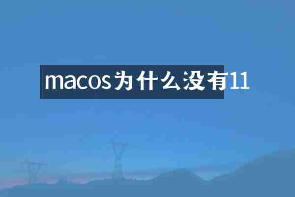macos为什么没有11