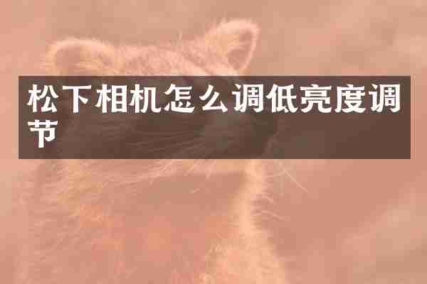 松下相机怎么调低亮度调节