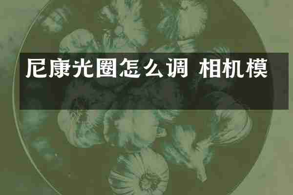 尼康光圈怎么调 相机模式