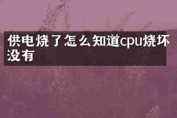 供电烧了怎么知道cpu烧坏没有