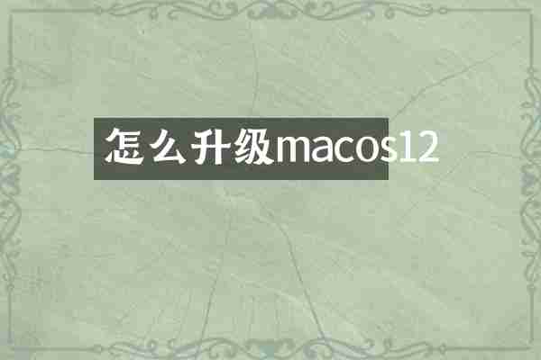 怎么升级macos12