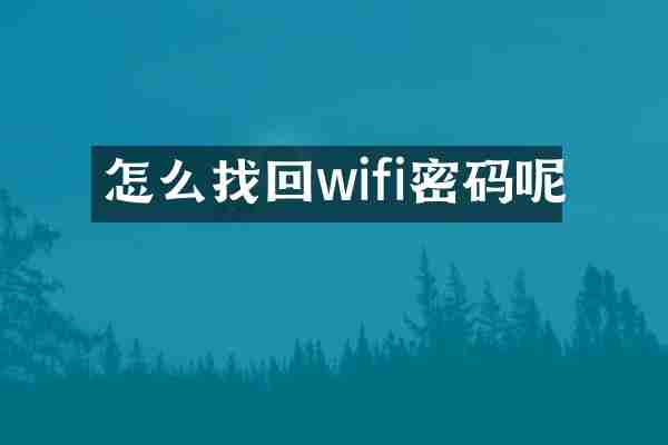怎么找回wifi密码呢