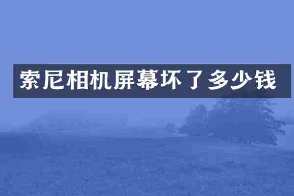索尼相机屏幕坏了多少钱