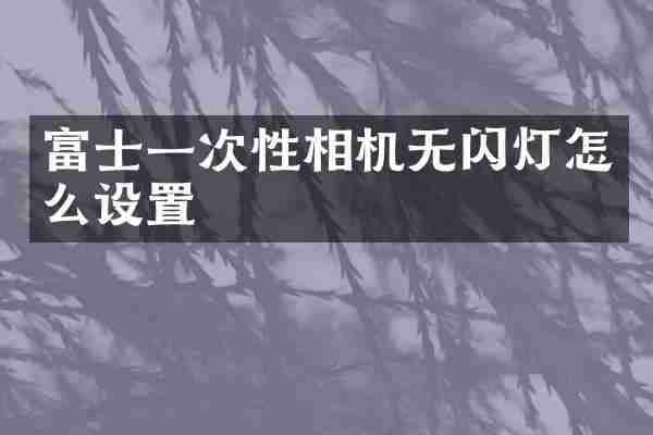 富士一次性相机无闪灯怎么设置