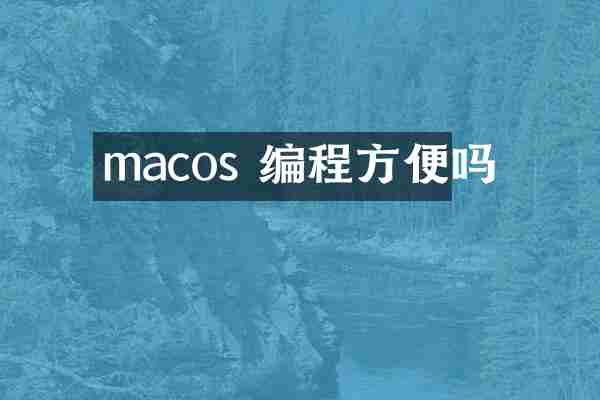 macos 编程方便吗