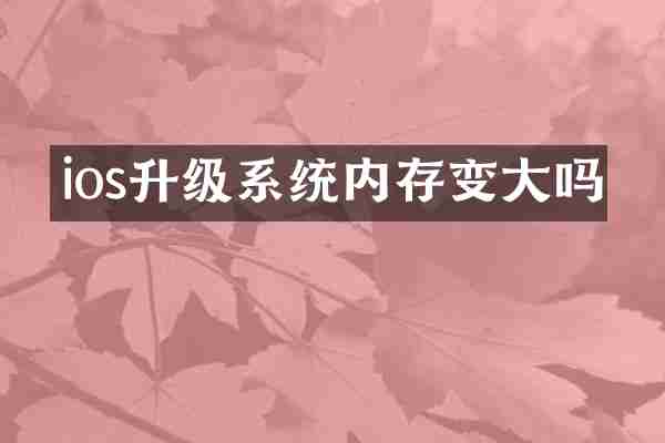 ios升级系统内存变大吗