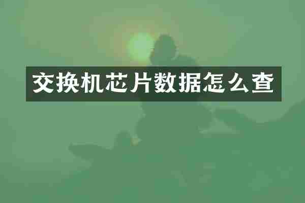 交换机芯片数据怎么查