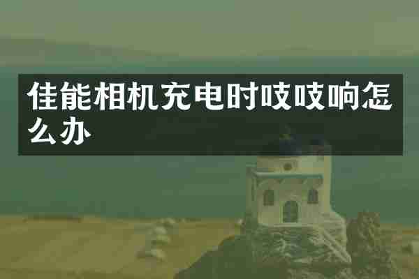 佳能相机充电时吱吱响怎么办