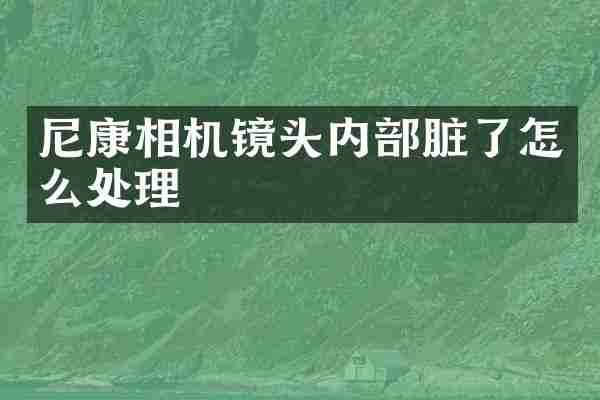 尼康相机镜头内部脏了怎么处理