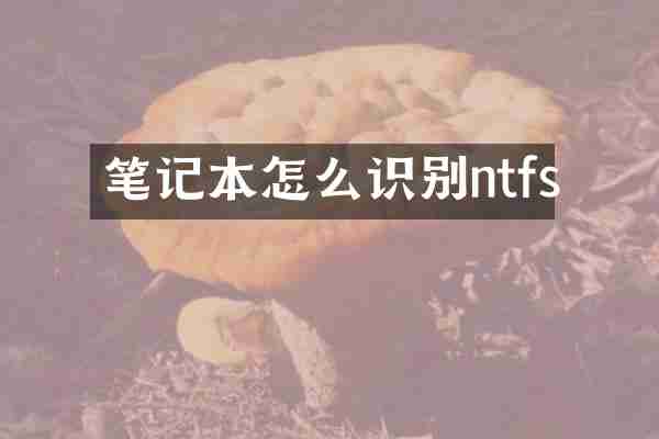 笔记本怎么识别ntfs